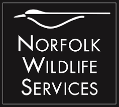 Norfolk Wildlife Services