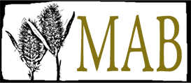 MAB Environment & Ecology Ltd