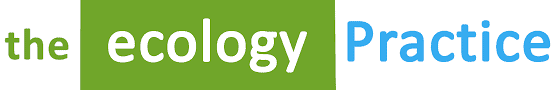 Ecology Practice