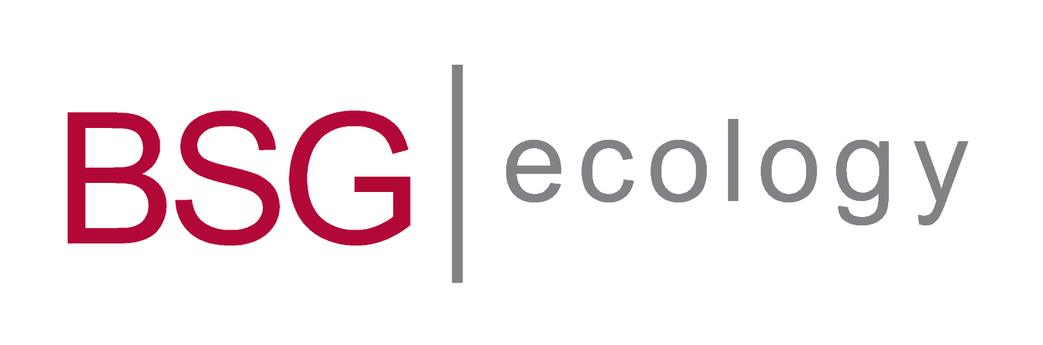 BSG Ecology