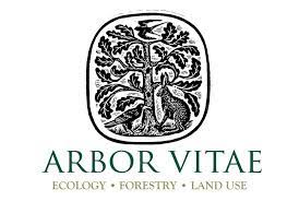 Arbor Vitae