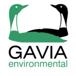 Gavia Environmental