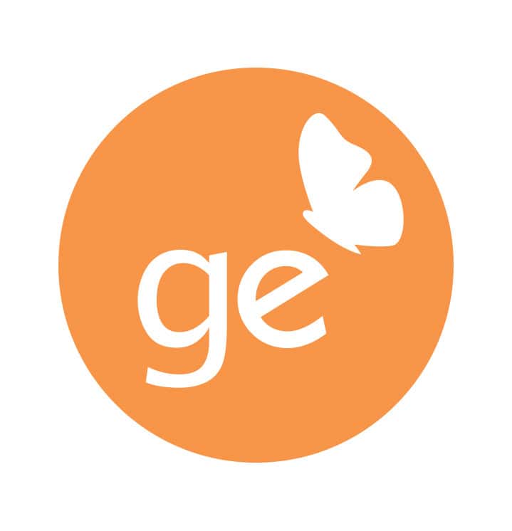 GE Consulting