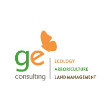GE Consulting