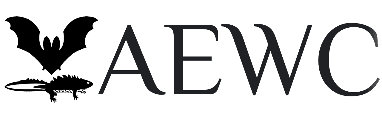 AEWC Ltd