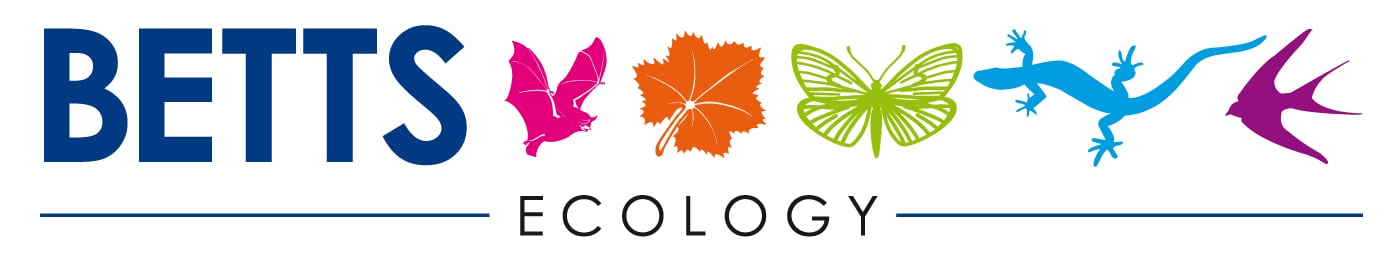 Betts Ecology