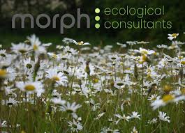 Morph Ecological Consultants