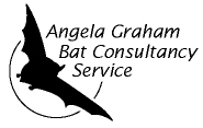 Angela Graham Bat Consultancy Service Ltd