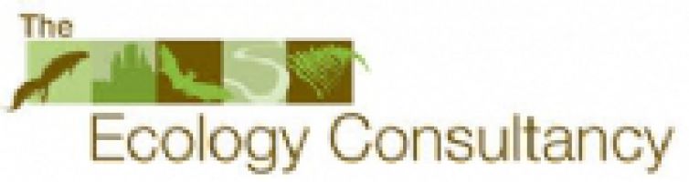 The Ecology Consultancy