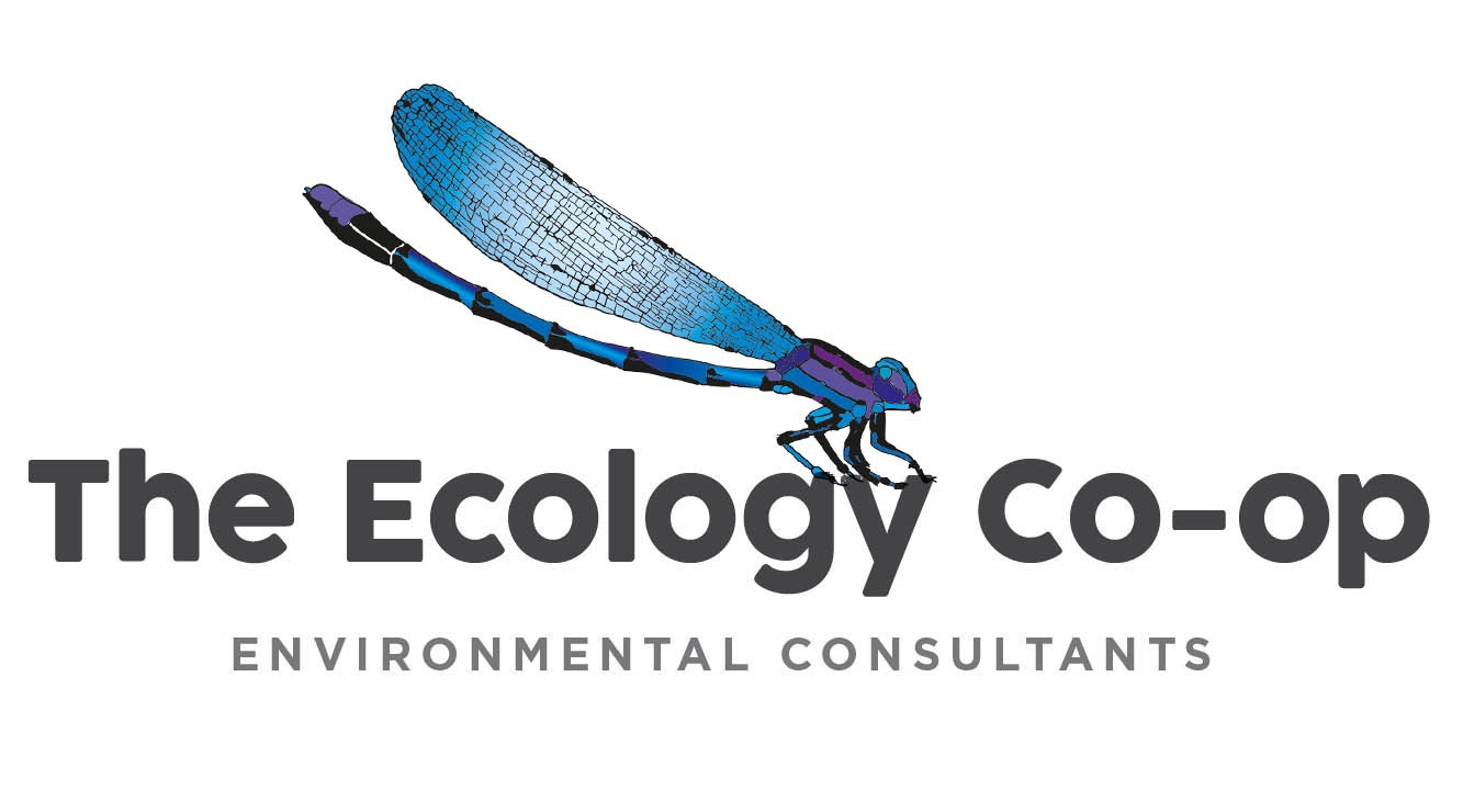 The Ecology Co-op